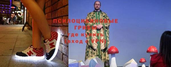 PSILOCYBIN Саяногорск