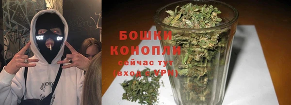 PSILOCYBIN Саяногорск