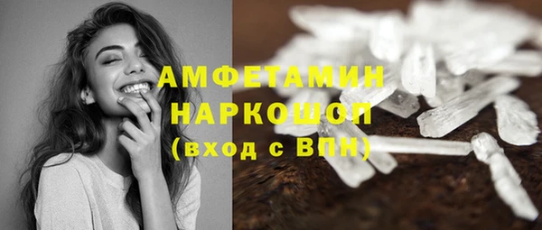 индика Рославль