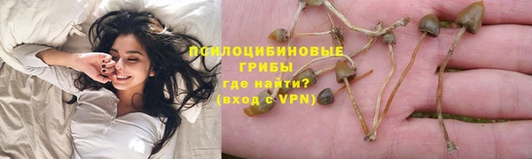 PSILOCYBIN Саяногорск
