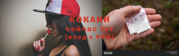 индика Рославль