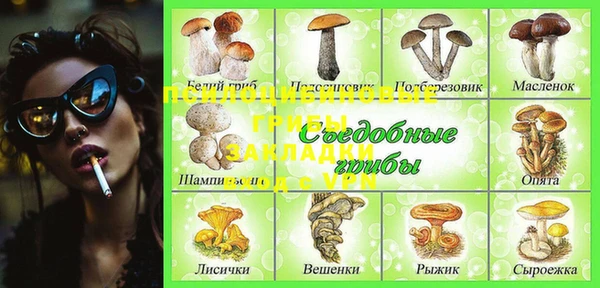 индика Рославль