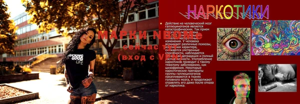 твердый Новокубанск