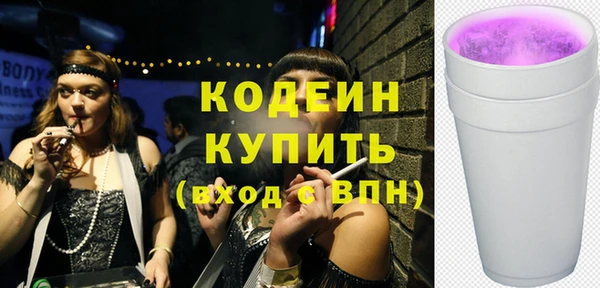 индика Рославль