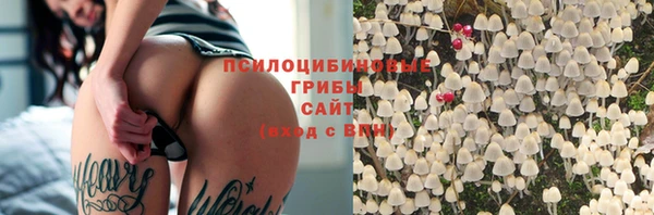 твердый Новокубанск