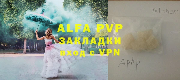 индика Рославль