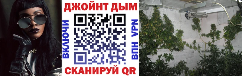 Бошки Шишки сатива  закладки  Верещагино 